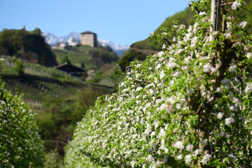 Pension Stamserhof Nalles Exterior photo