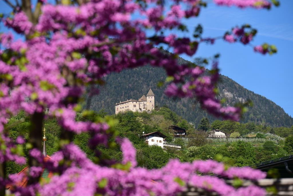 Pension Stamserhof Nalles Exterior photo